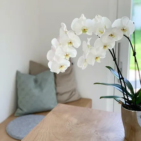 Διαμέρισμα Salzburg Suite *